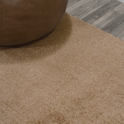 Twyla Solid Brown Low-Pile Machine-Washable Area Rug 3 x 5
