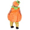 HalloweenCostumes.com Plump Pumpkin Infant Costume | Halloween Pumpkin Costumes - 2 of 2