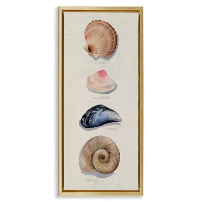 Stupell Industries Traditional Nautical Sea Shells, 15" x 31"