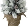Northlight 1.6 FT Potted Slim Flocked Mini Pine Artificial Christmas Tree in Burlap Base - Unlit - 4 of 4