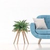 Floral Home 34" Wide Boston Fern with 42 Lifelike Fronds - 6-Piece - 4 of 4