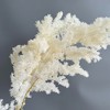 Alilang Decorative Dried Fine Leaf Stems for Home Decoration and Floral Arrangements, 17.7 Inches - 2 of 2