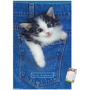 Trends International Keith Kimberlin - Kitten - Pocket Unframed Wall Poster Prints - 1 of 4