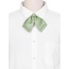 Elerevyo Women's Adjustable Satin Classic Bow Tie - 4 of 4