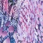 pink mixed snake