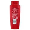 Old Spice Body Wash Raptorstrike - Dark Berry Scent - 24 fl oz - 2 of 4