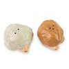 Silver Buffalo The Golden Girls Rose and Blanche Ceramic Salt and Pepper Shakers | Set of 2 - 2 of 4