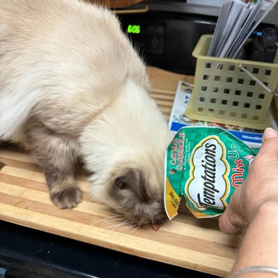 Guest review image 2 of 2, zoom in