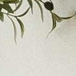 ivory, tan, rust, dark red, teal, green