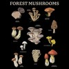 Women's Lost Gods Forest Mushrooms T-Shirt - image 2 of 4