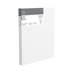 Winsor & Newton Professional Cotton Stretched Canvas Deep Edge - 1 of 1
