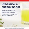 Metagenics Endura Electrolyte Powder—Hydrating packets with ascorbic acid & calcium, non-GMO, gluten-free, vegetarian, lemonade flavor, 30 ct. - 4 of 4