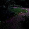 LumaBase Electric LED Pathway Lights with 10 Purple and Green Bulbs - 2 of 2