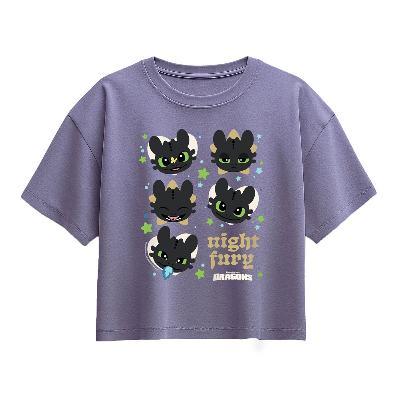 Футболка How to Train Your Dragon Toothless Face Short Sleeve Boxy Graphic T-Shirt - Periwinkle для девочек — фото 1