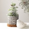 Sullivans 1.25' Potted Pine Artificial Tree, Green - 3 of 4