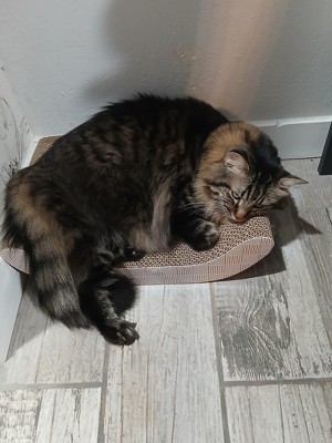 Guest review image 1 of 1, zoom in