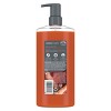 Dove Men+Care Body Wash with Plant-Based Moisturizers - Blood Orange & Sage - 26 fl oz - 2 of 4