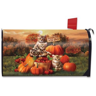 Briarwood Lane Fall Kittens Pumpkins Magnetic Mailbox Cover Apple Basket Autumn Standard