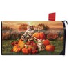Briarwood Lane Fall Kittens Pumpkins Magnetic Mailbox Cover Apple Basket Autumn Standard - 3 of 3