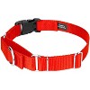 Country Brook Petz Heavy Duty Nylon Martingale Dog Collar with Deluxe Buckle - 30+ Vibrant Color Options - 4 of 4