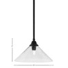 Toltec Lighting 1 - Light Pendant in  Matte Black with 16" Smoke Bubble Shade - 2 of 2