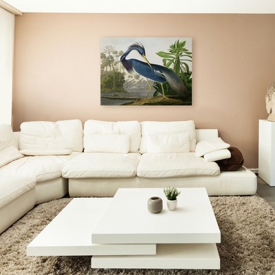 Louisiana Heron by Water Gallery-Wrapped Canvas Art