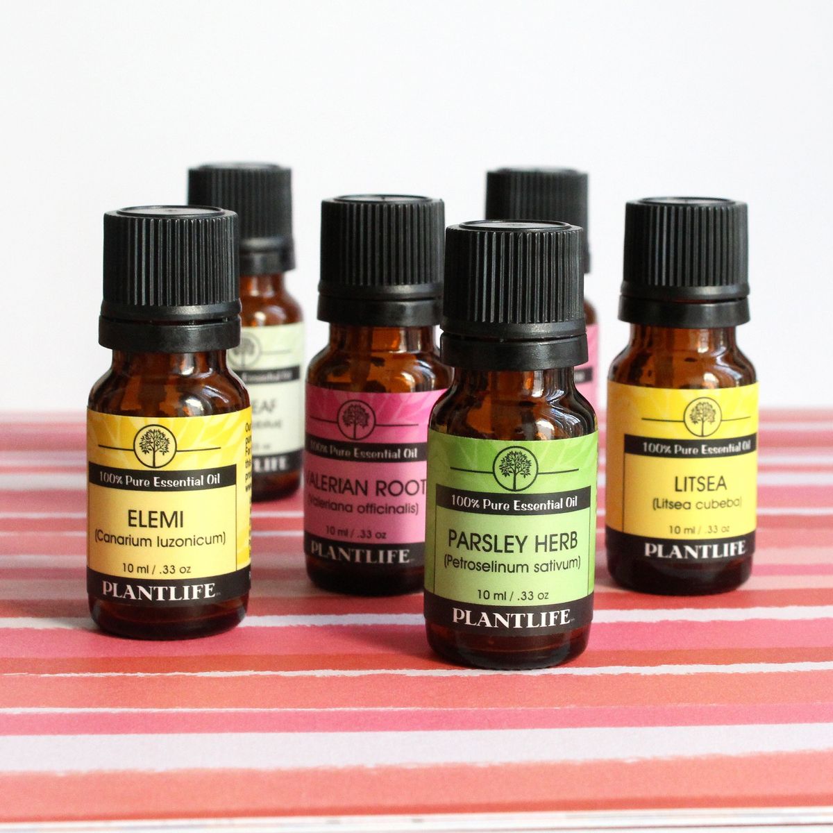 Plantlife Elemi Aromatherapy Essential Oil - Straight from The Plant 100% Pure Therapeutic Grade - No Additives or Filters - 10 ml - thumbnail 3