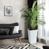 22" Tall Planter Set of 2, Black Indoor/Outdoor Pots with Drainage, Water Level Monitor, Inner Bucket, and Auto Watering, White - 4 of 4