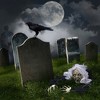 Nifti Nest Halloween Groundbreaker Wicked Witch Zombie - 4 of 4