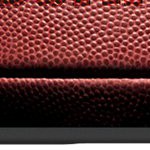 tampa bay buccaneers