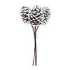 Melrose Flocked Pine Cone Bundle (Set of 6) - 2 of 3