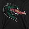 University of Alabama at Birmingham Official Distressed Primary Adult Pull-Over Hoodie - 2 of 4