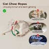 Potaroma Cat Toys Chew Ropes 3Pcs with Refillable Natural Catnip - 2 of 3