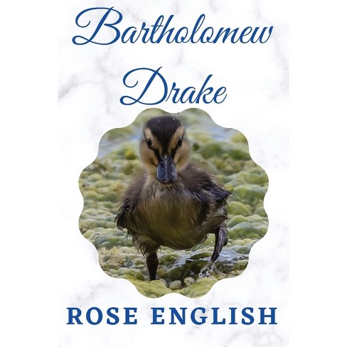 Bartholomew Drake - (calvin The Swan) By Rose English (paperback) : Target