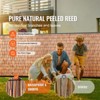 VEVOR Natural Reed Fencing, 4 ft x 16.4 ft, 2 Pack Reed Screen Curtain Balcony Reed Fence Roll for Outdoor Backyard Patio, Decorative Fence - 3 of 4