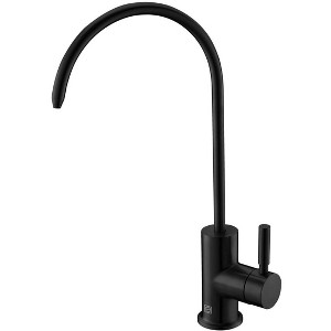 Elegant Lighting Rian Single Handle Cold Water Dispenser in Matte Black - 1 of 4