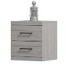 Galano Hamsper 2 Drawer Nightstand (18.9" W x 16.3" D x 20.3" H) - 4 of 4