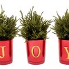 8" Christmas "JOY" Tabletop Card Holder Votive Set - National Tree Company - 3 of 4
