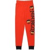 LEGO Ninjago Little Boys' 4-Piece Short  Sleeve Cotton Pajama Sets, Size 4 - 4 of 4