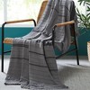 Modern Threads 100% Cotton Knit Throw 50" x 70", Tarek. - image 2 of 3