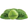 Teddy Turtle Kids' Plush - Pillow Pets : Target