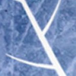 toronto maple leafs