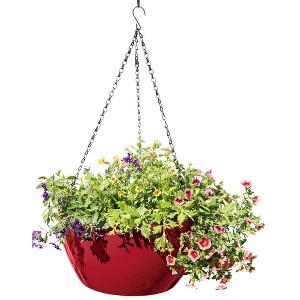 Gardener's Supply Company Viva Self-Watering Hanging Basket With Easy-Fill Water Port | 14 Inch Diameter Includes Hanging Chain & Hook - Red - 1 of 4