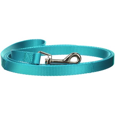 Casual Canine  Basic Nylon Dog Leash, 6-Feet x 1-Inch Lead, Bluebird