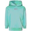 The Juniper Shop Embroidered Hippity Hoppity Stacked Toddler Hoodie - 3 of 4