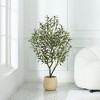 DR.Planzen 4-6FT Single-Trunk Artificial Olive Tree Fake Plants with Realistic Black Olives ¨C Indoor/Outdoor Plant for Home Decor - 4 of 4
