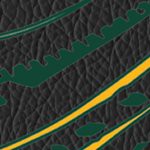 baylor bears