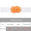 INSPIRE CHIC Women's Large Chiffon Rose Double-Flower Elastic Stretch Wide Corset Waist Belt 1 Pc - 4 of 4