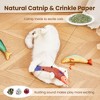 Itopfox Cat Toys Saury Fish, 3 Pack, Catnip Crinkle Sound, Soft and Durable, Interactive Kitten Kicker for Indoor Kitty Exercise for All Breeds - 4 of 4