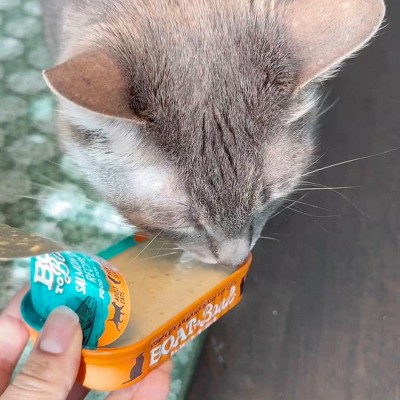 Boat To Bowl Seafood and Salmon Flavor Pate Recipe Wet Cat Food - 3.17oz, 2 of 16, play video